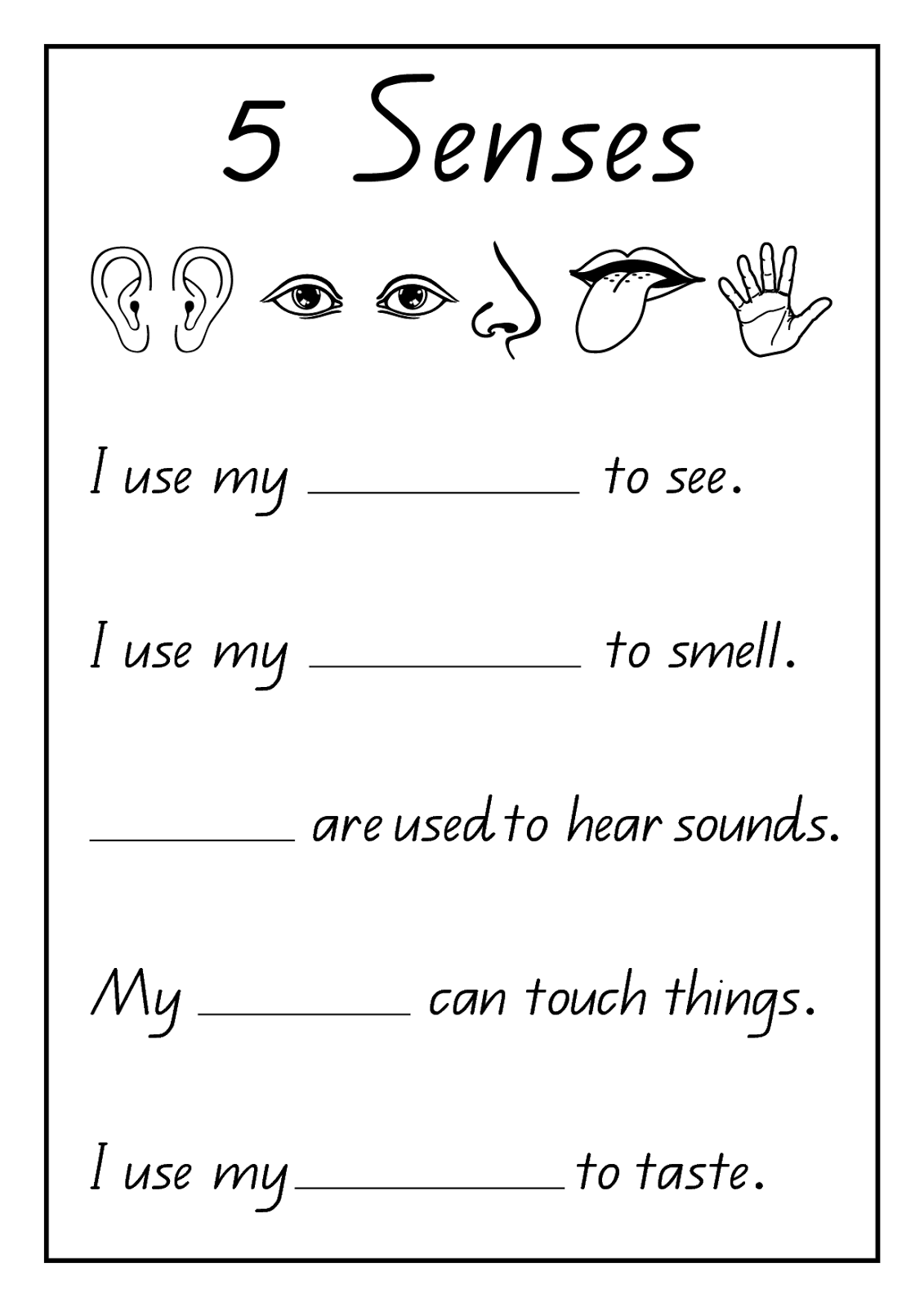 The Five Senses Worksheets