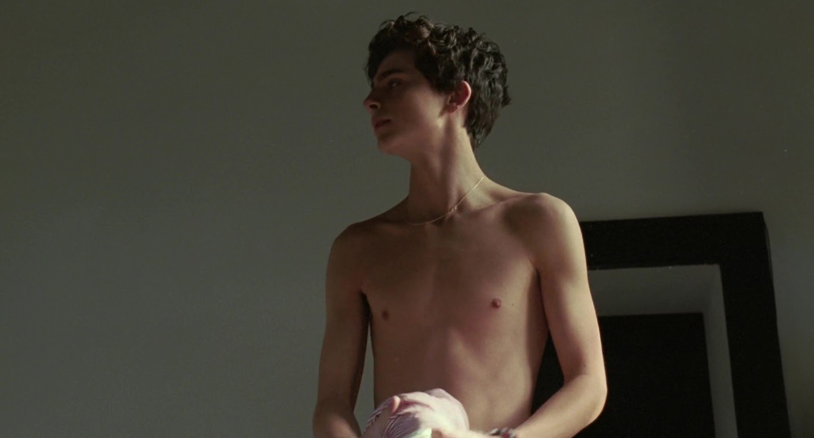 ausCAPS: Timothée Chalamet nude in Call Me By Your Name