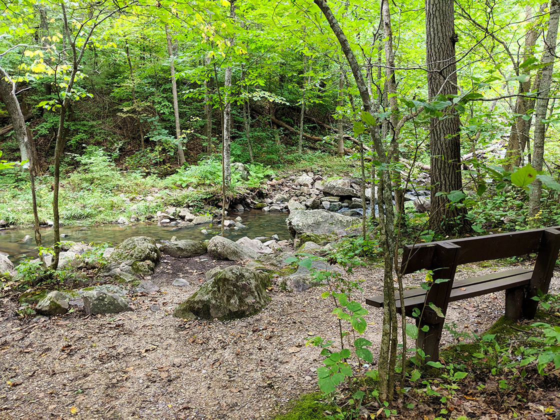 East Bluff Woods Trail at Devil's Lake State Park