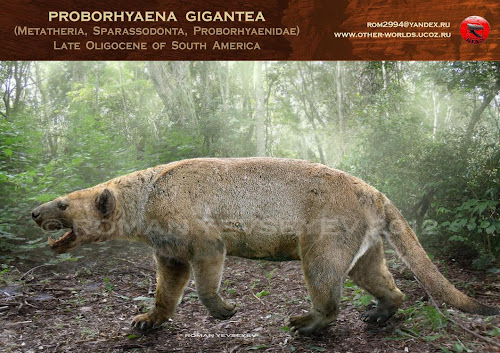 marsupiales prehistoricos de Argentina Proborhyaena