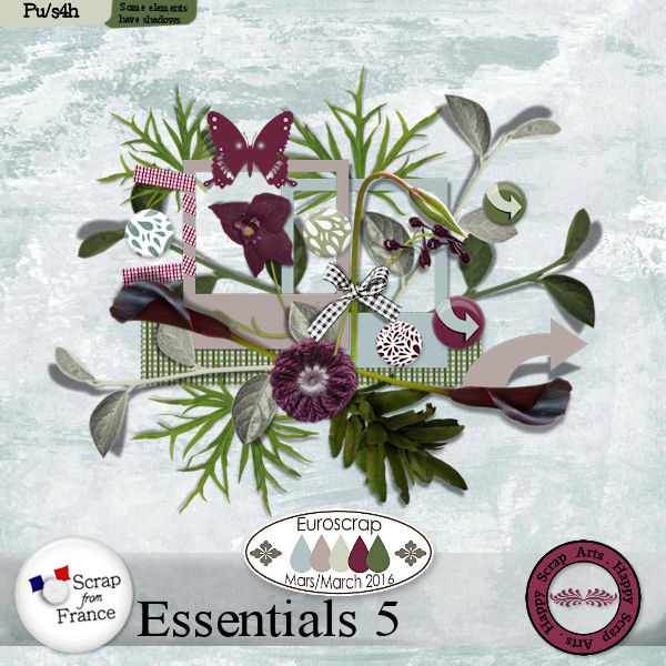 Maart 2016 - HSA Essential 5