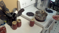 salsa pressure lids cooker boiling before sealing canning