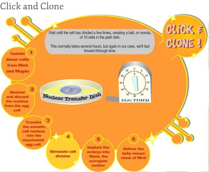 CREATORS GALAXY Click and Clone...!!