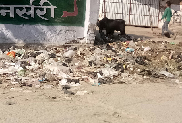 दिखावा वाला विकाश: बेतिया के हर कोने में पसरी हैं गंदगी, नप केवल ख़बरों में दिखाता हैं सफाई.. 2