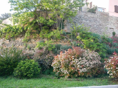 Risultati immagini per verde a treia