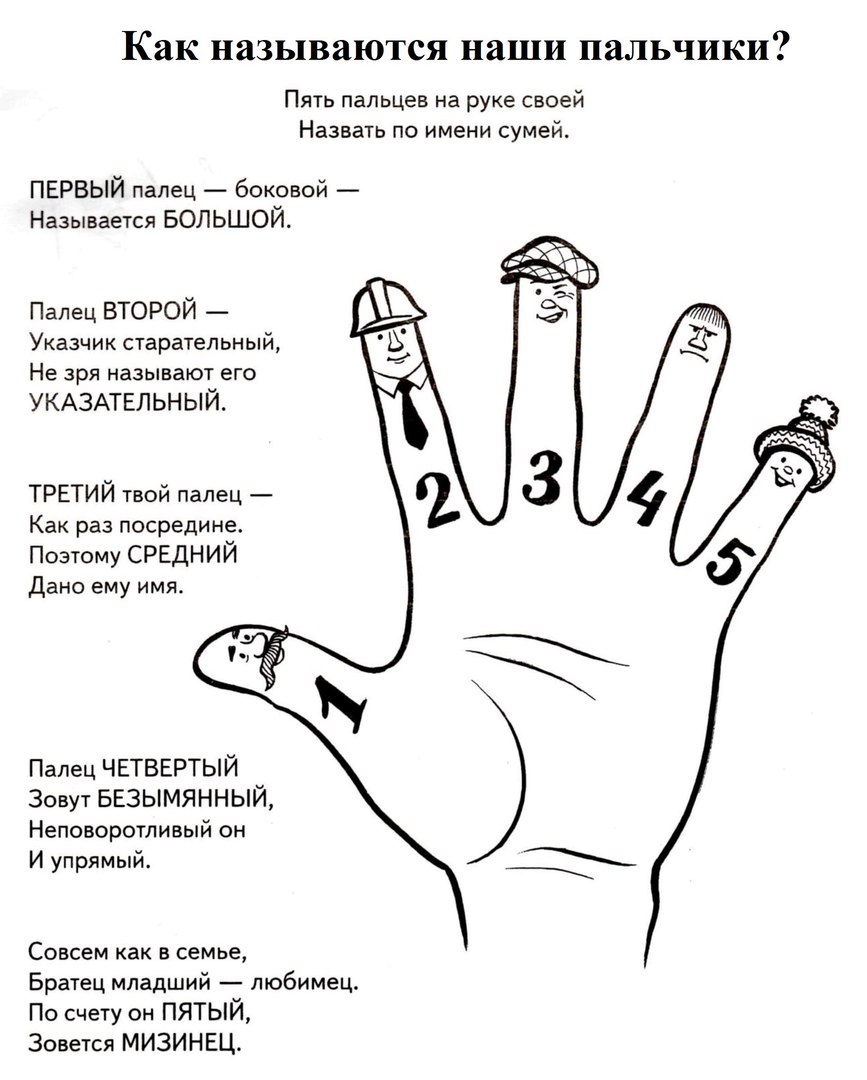 Стихотворение пальчики. Название пальцев для детей. Название пальцев на руке. Ладонь с названием пальцев. Выучить название пальцев.