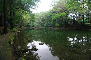 Telaga remis Telaga remis