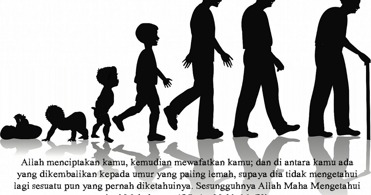 Blog Natha Kalyca Awindya Perkembangan Manusia Dari Bayi Sampai Dewasa Blog Natha Kalyca Awindya Perkembangan Manusia Dari Bayi Sampai Dewasa