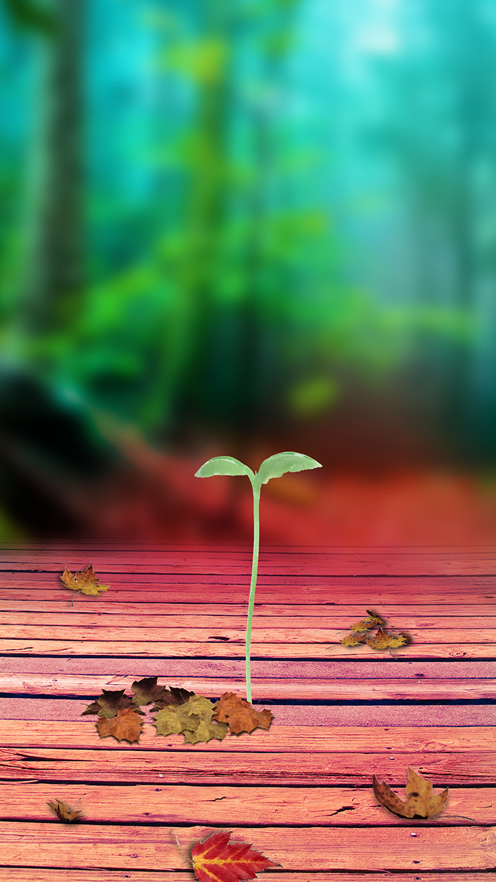 Free Wallpaper Phone Seeds Sprouting Wallpaper Samsung 1 Wallpaper