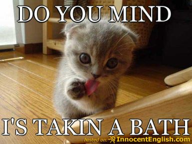  Funny  Image Collection LOLcats Image Chef 