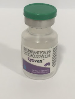 INDIAN IMMUNOLOGICALS LTD LAUNCHES WORLD’S FIRST VACCINE AGAINST TAPEWORMS IN PIGS INDIAN IMMUNOLOGICALS LTD LAUNCHES WORLD’S FIRST VACCINE AGAINST TAPEWORMS IN PIGS