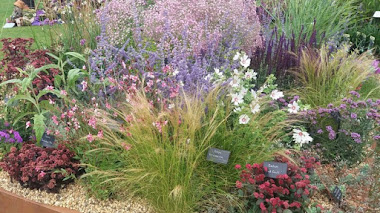 Plantas de Beth Chatto en RHS Wisley Flower Show 2016