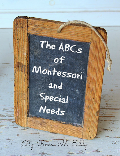 Book:  The ABCs of Montessori and Special Needs