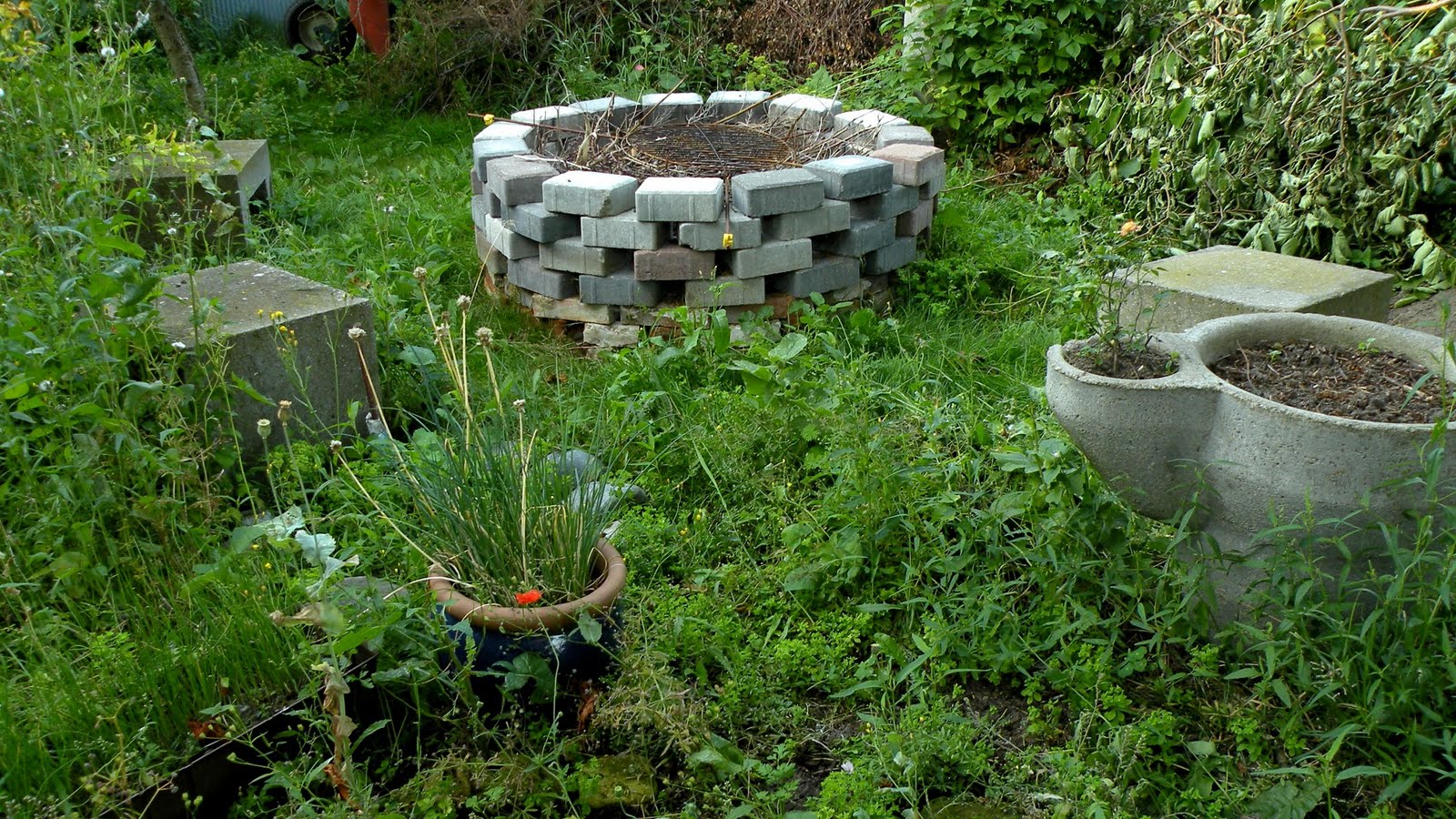 UrbanVirons: Things You Need to Know About Weeds and Weed Control