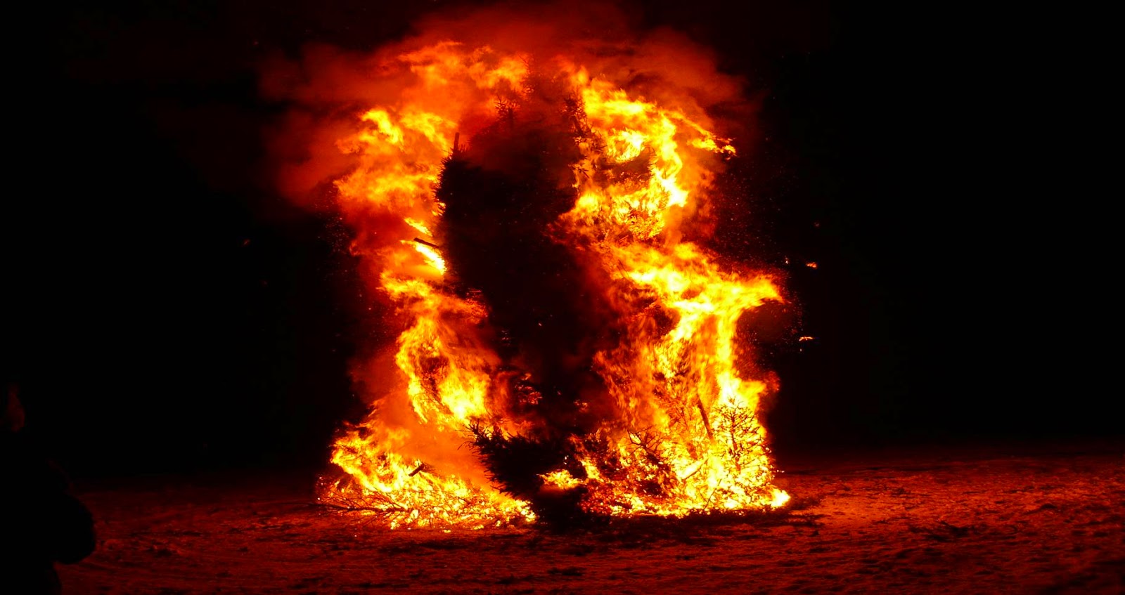 Bald Eagle Area Association - BEAA: Annual Bald Eagle Tree Burning