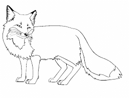 FILANAVAL: ANIMALES EN PELIGRO DE EXTINCIÓN (Zorro de Darwin)