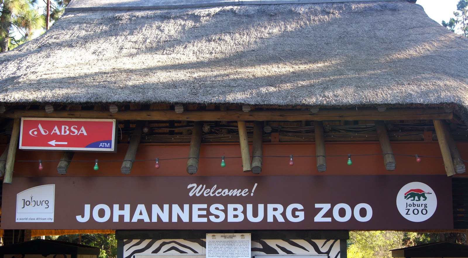 adventures in ZA braai & johannesburg zoo