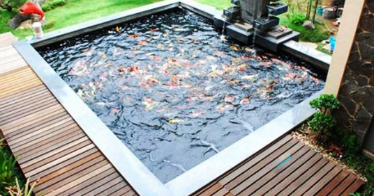 Skema Filter Kolam Ikan Koi Penyuluh Perikanan Skema Filter Kolam Ikan Koi Penyuluh Perikanan