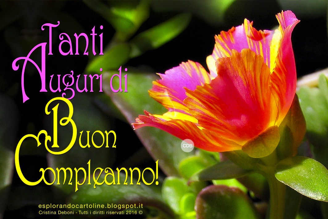 Esplorando cartoline cdb: cartolina ๐ผ๐ธ๐บ๐ฟ tanti auguri di buon Esplorando Cartoline CDB: Cartolina ๐ผ๐ธ๐บ๐ฟ Tanti Auguri di BUON