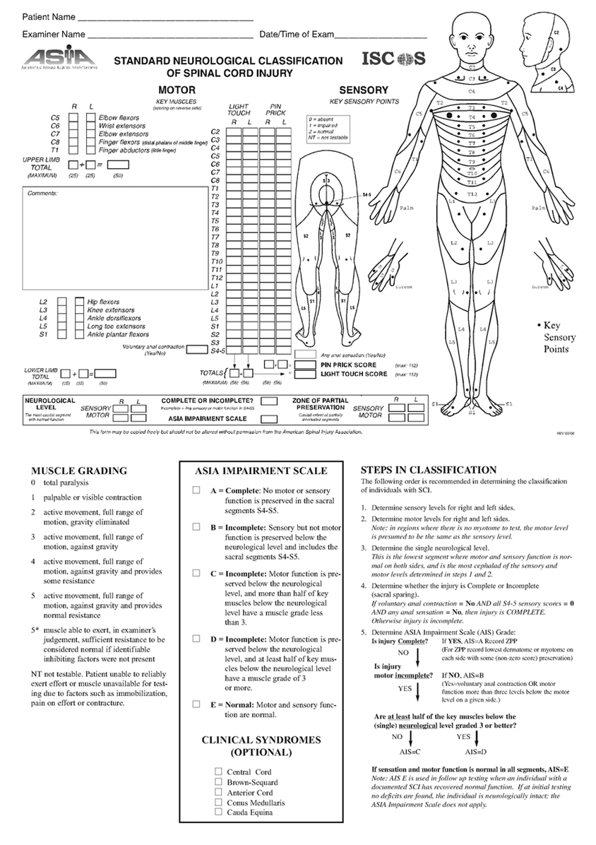 Oxford Physical Therapy >> PG Medic: Standard Neurological Classification of Spinal ... Oxford Physical Therapy >> PG Medic: Standard Neurological Classification of Spinal ...