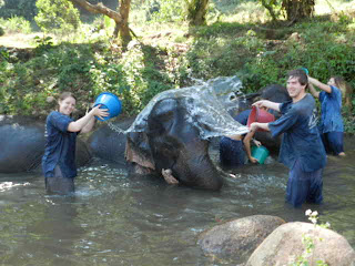 Chiang Mai Elephant Camp, Thailand