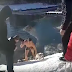 Man Risks His Own Safety To Rescue A Dog From A Frozen Pond