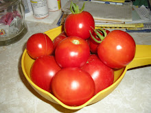 Love those Tomatoes