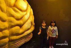 human body adventures