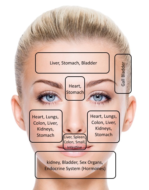 Pimple Locations And Your Inner Organs Face Mapping A - vrogue.co
