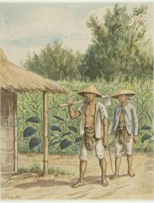 Involusi Pertanian di Pulau Jawa
