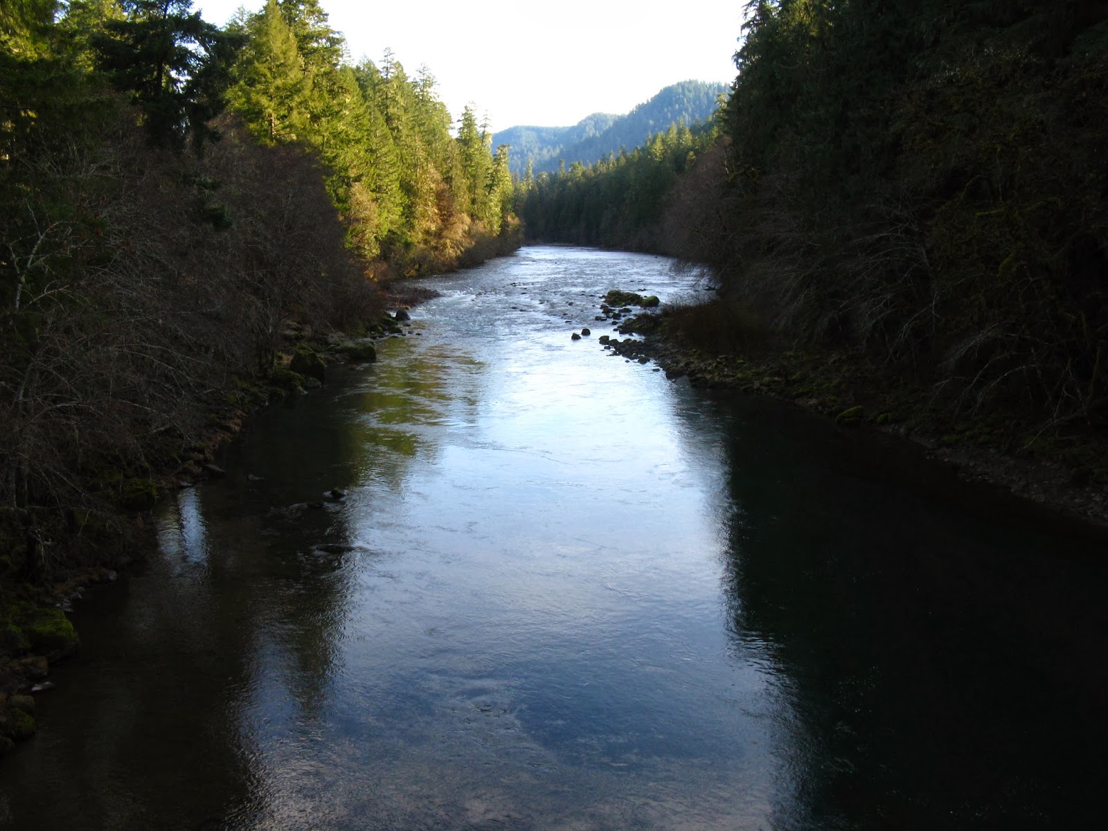 Lane's Trails and Travels: North Umpqua Trail: Susan Creek to Bob Butte