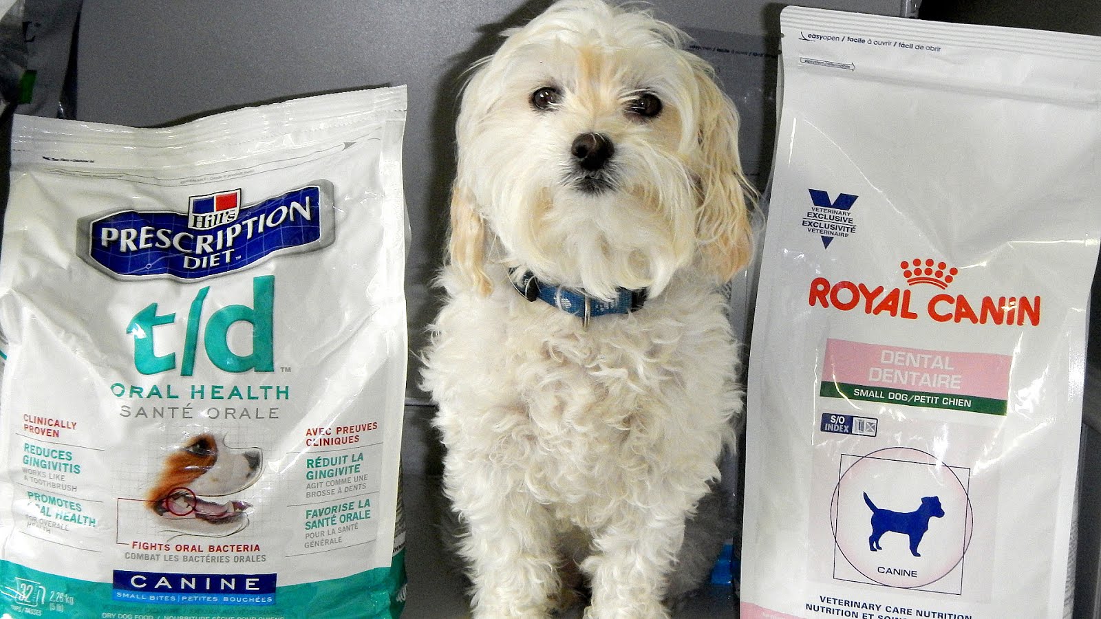 Vet Cat Food Brands Brand Choices