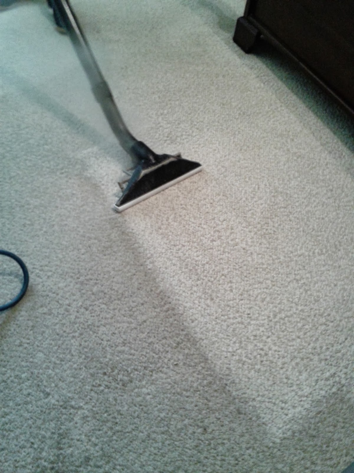 Carpet Cleaning Toms River NJ
