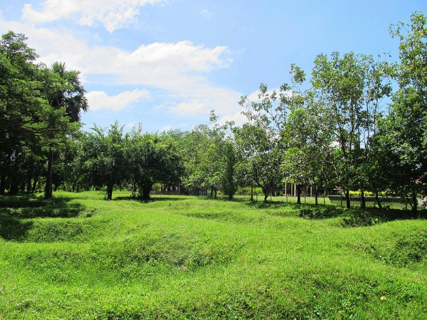 Cánh đồng chết