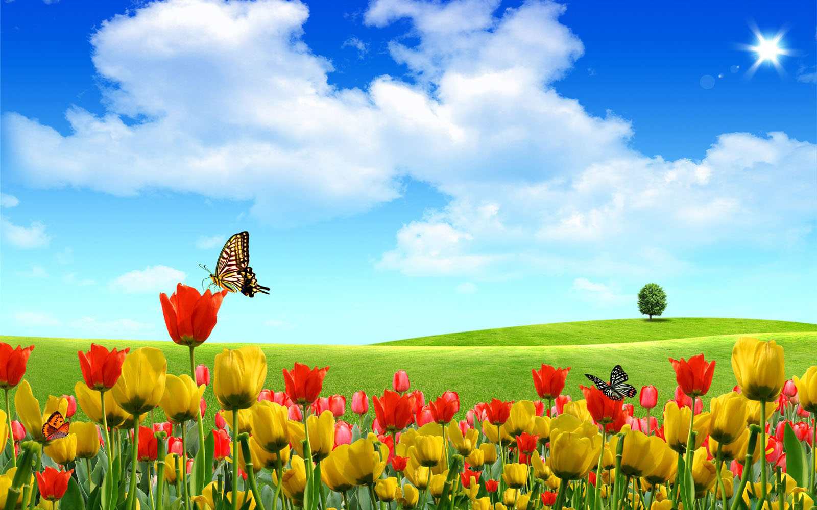 Wallpaper Computer Wallpapers For Desktop