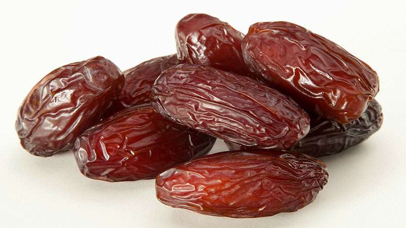 Kurma Kurma