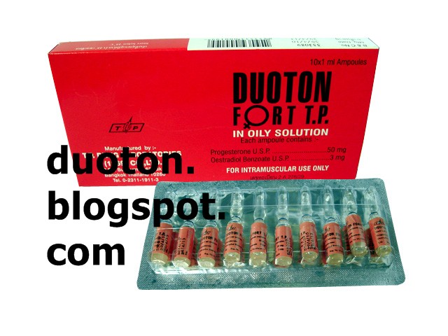 Duoton Fort: Duoton Fort