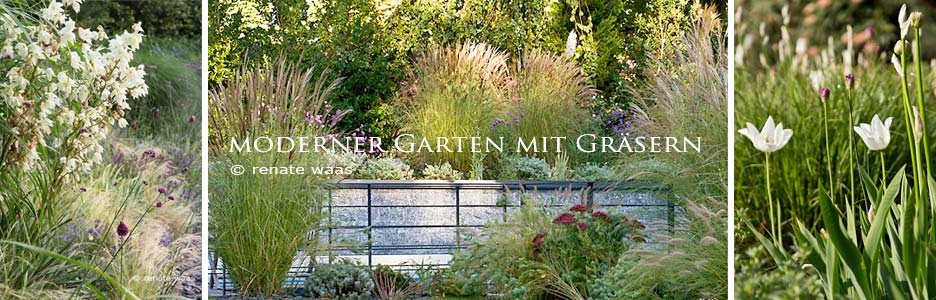 moderner Garten, Pflanzung, Stauden, Gräser, Blumenbeete, Blumenzwiebeln, Lavendel, Blumenbeete für einen modernen Garten, Blumen für einen modernen Garten