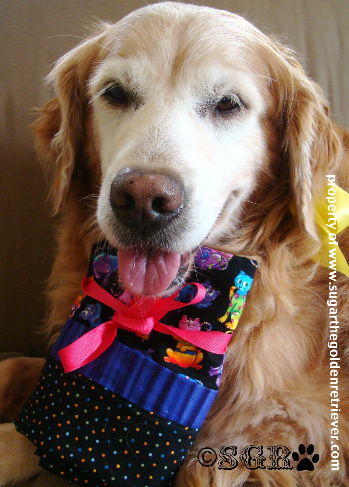 Pet Themed Sausage Pillow Case Golden Woofs