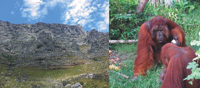 Contoh Lingkungan Biotik Dan Abiotik Aneka Contoh