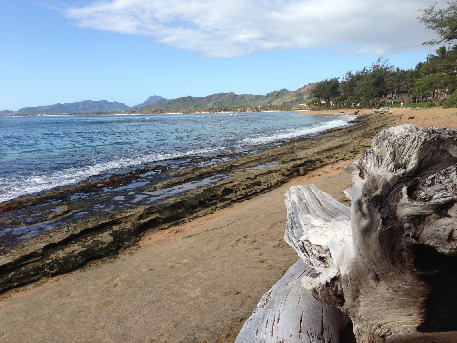 GREAT EATS HAWAII IMAGES OF THE COCONUT COAST KAUAI, HAWAII