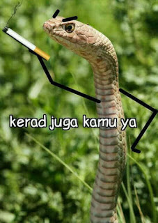 Kerad Kerad