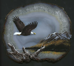 eagle flying flight bald eagles bird birds endangered reserve species