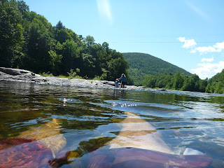 We Looked At The Swim And We Jumped Right In: West Dummerston