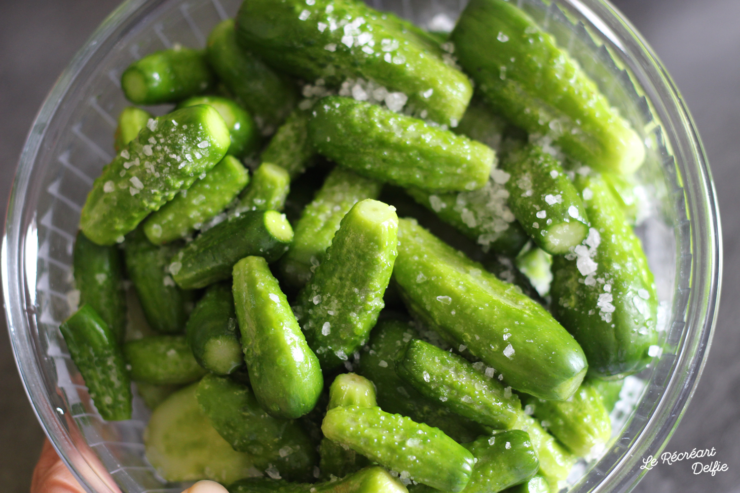 Conserves de Cornichons au vinaigre fait maison Le Récréart Delfie