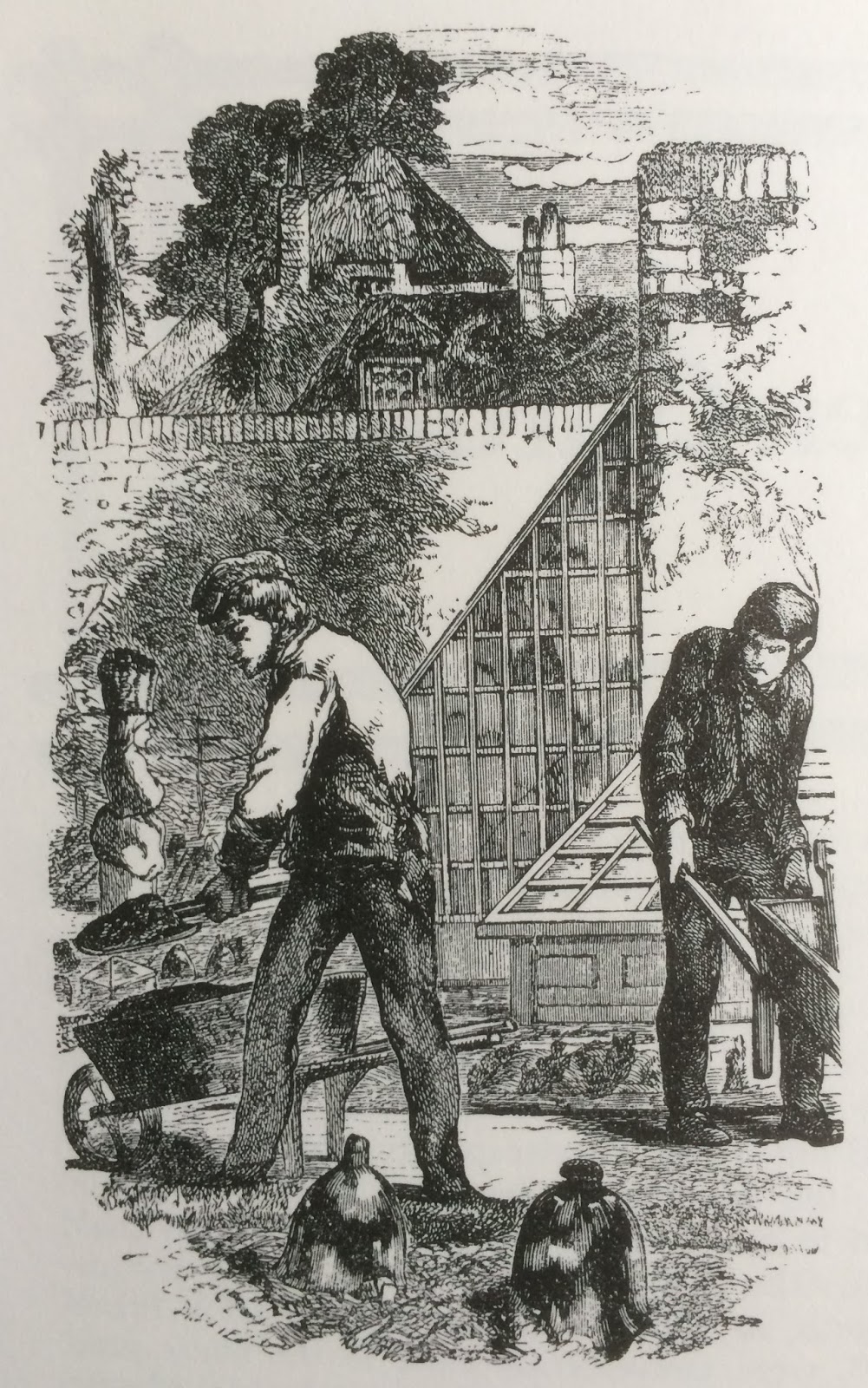 Celebrating the Victorian Kitchen Garden Life on Pig Row