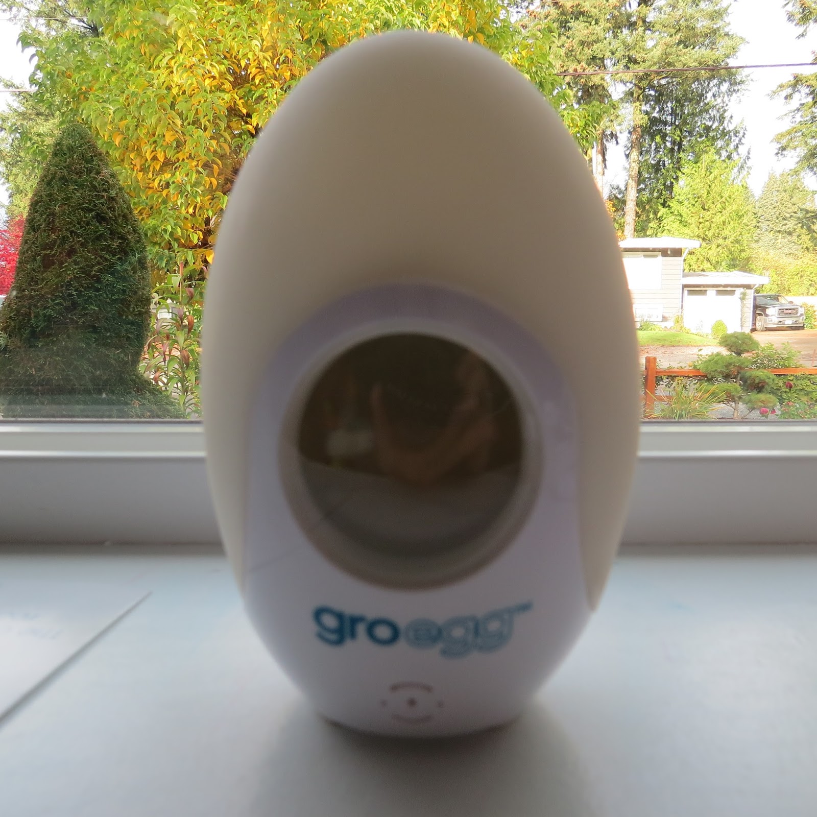 Learn to be a Mom Groegg Digital Thermometer for your baby room 