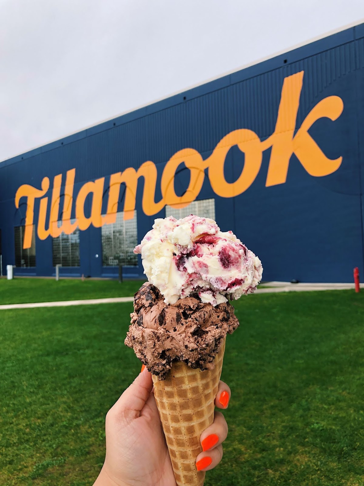 TILLAMOOK CREAMERY