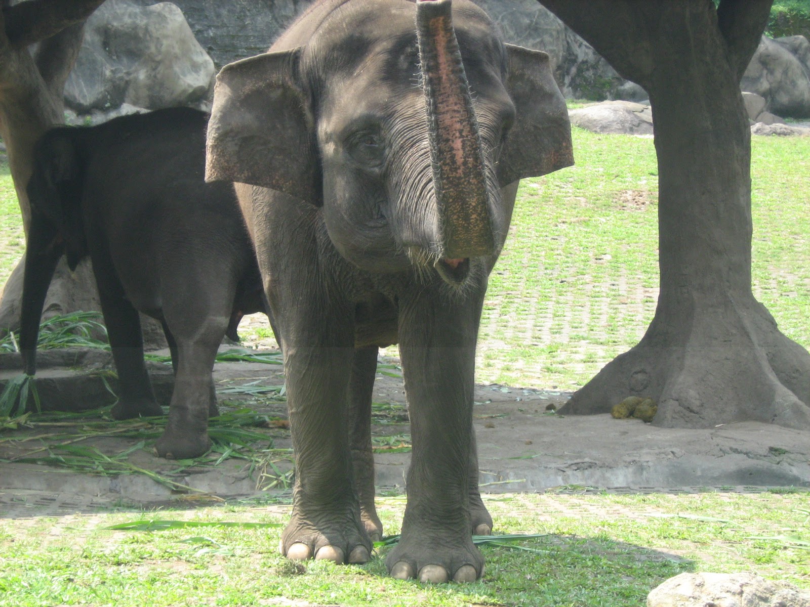 Taman Safari @ Malang, Jatim. | JAF Picture