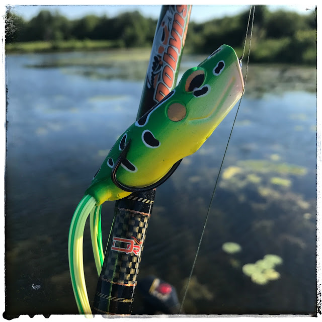 Terminator Popping Frog Review - Bass Junkies Frog Pond